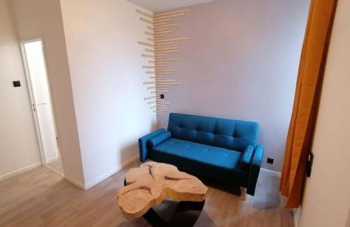 Appartement 50m² centre-ville - Foto 11