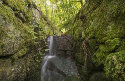 Quinta do Fontelo - Foto 26