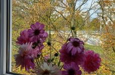 M-Suites - Near Frankfurt Airport - Foto 12