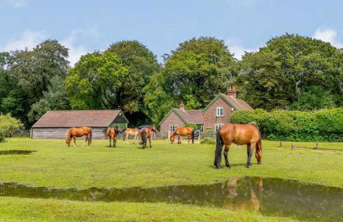4 Bed in Salisbury oc-82799 - Photo 21