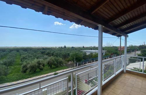 homonatura. sense of native living. - Foto 22