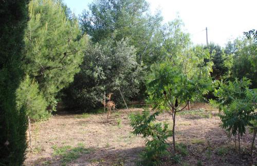 Mas Fany et Olivier - Foto 17