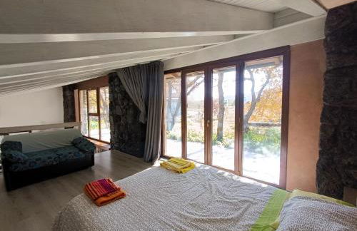 La pietra lavica - Foto 11