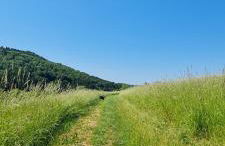 Ferienhaus Romy - Photo 12