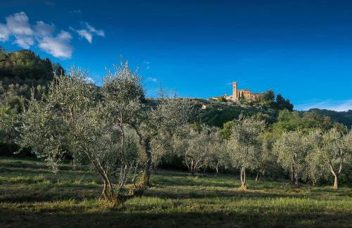 Panoramic apartment - Foto 34