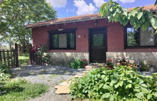 Studio Katerina - Photo 1