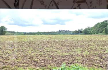 Luxury Shepherd's Hut - The Hyde - Photo 10