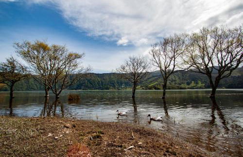 Casa da Porta Amarela - Photo 51