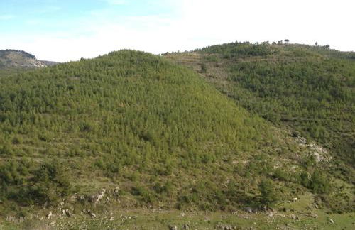 Le Case Di S. Andrea - Foto 50