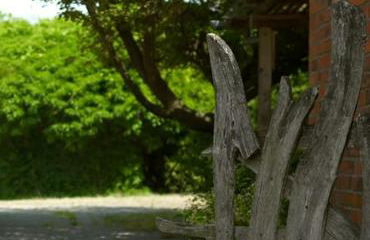 Kunst Ferienwohnung 200 Meter zum Elbesandstrand - Foto 26