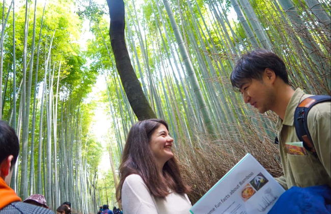 Tour por el bosque de bambú y los templos de Arashiyama - Foto 3
