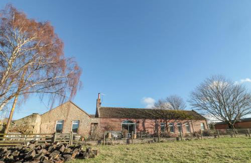 Cherry Studio - Foto 24