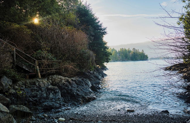Tofino Oceanfront Hotel Suite 2 - Photo 9