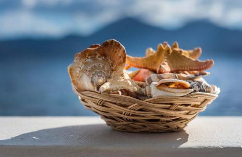 Last Sirma Klima - Foto 10