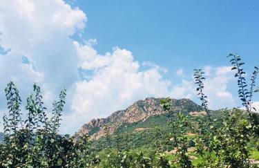 Agriturismo Su Barraccu - Foto 28