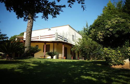 Azienda Agrituristica Il Pago - Foto 40