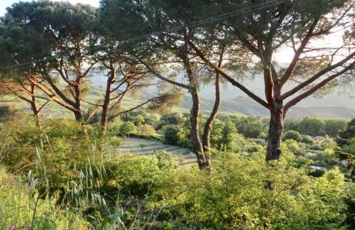 Agriturismo Cuca - Foto 54