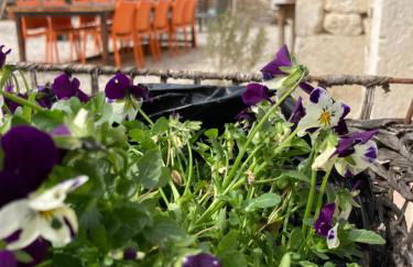 Les fontanelles du quercy blanc - Foto 43