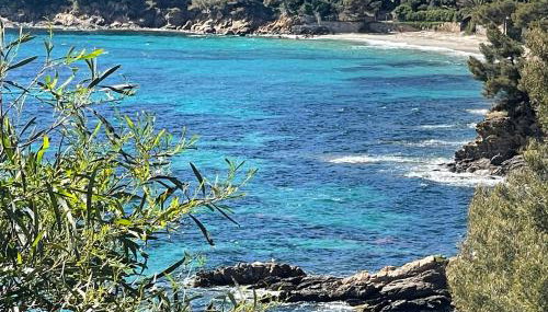 Location appartement au lavandou - Foto 4