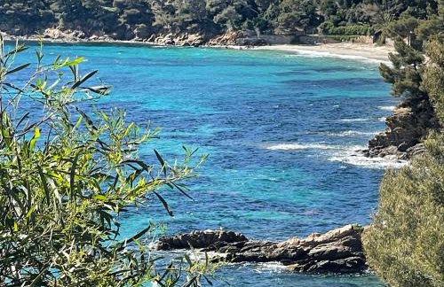 Location appartement au lavandou - Foto 4