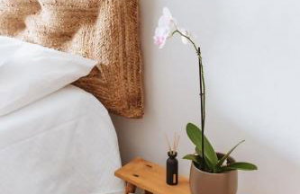 Chão do Ribeirinho Country House - Foto 25