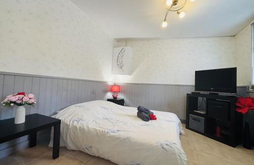 Le petit studio - 1 chambre - Gites Montvaltin - Foto 13