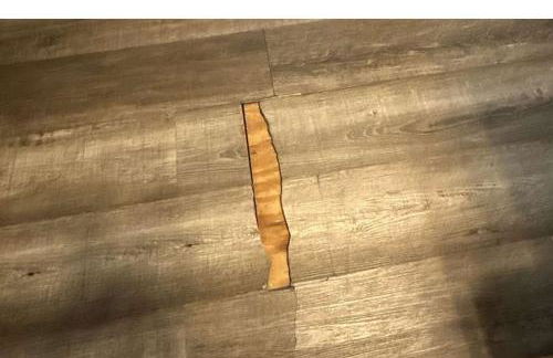 Private Patio & Close to Beach Coastal Cottage - Foto 44