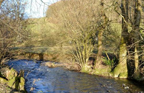 Cain Pod Vip - Foto 15