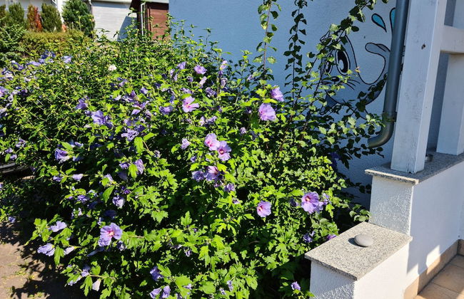 Ferienwohnung Tintenfisch - Foto 30