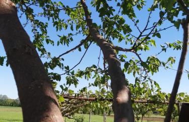 Agriturismo Nuvolino - Foto 69