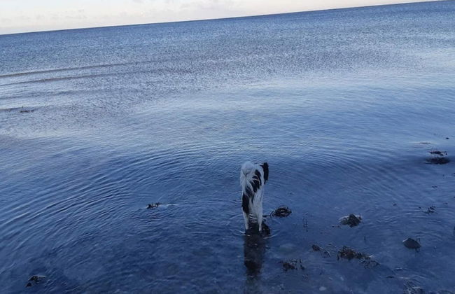 6 Person Holiday Home in Korsor - Photo 34