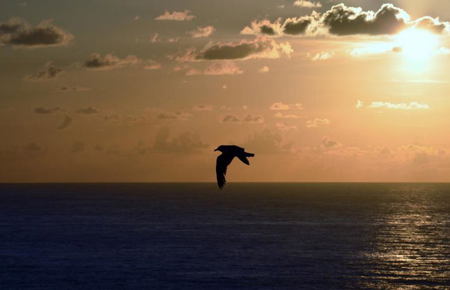 A Coruña Experience: experiencia gastronómica, tour a pie y visita a la torre de Hércules - Foto 2