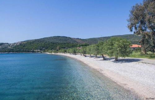 Zephyr Guest House - Foto 17