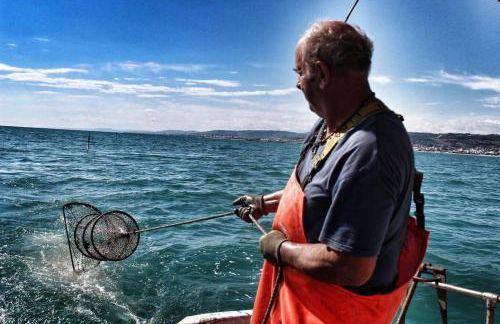 Ittiturismo Il Vecchio e il Mare - Foto 16