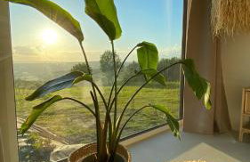 Zarnowa464 - Foto 28