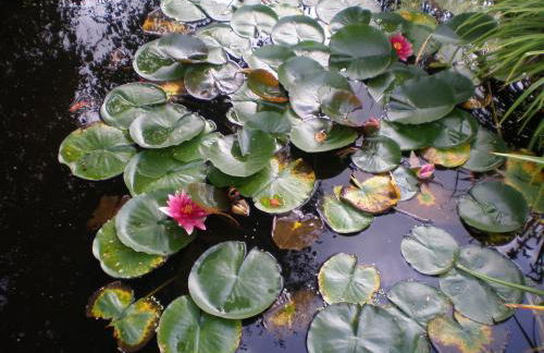 Romantic Studio Vacances - Foto 24