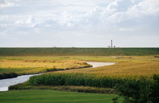 FEWO auf dem Lande - Foto 67