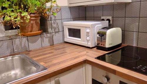 Woodstock Studio - Foto 4, stove, toaster