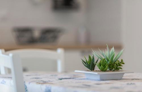 Apartmani Mariela - Photo 13