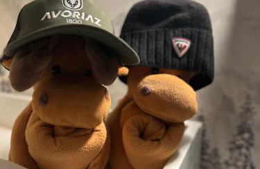 Avoriaz le M1212 - Photo 32