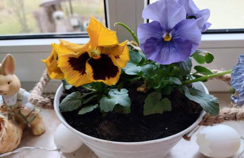 Ferienwohnungen im Herzen Sachsens - Photo 23