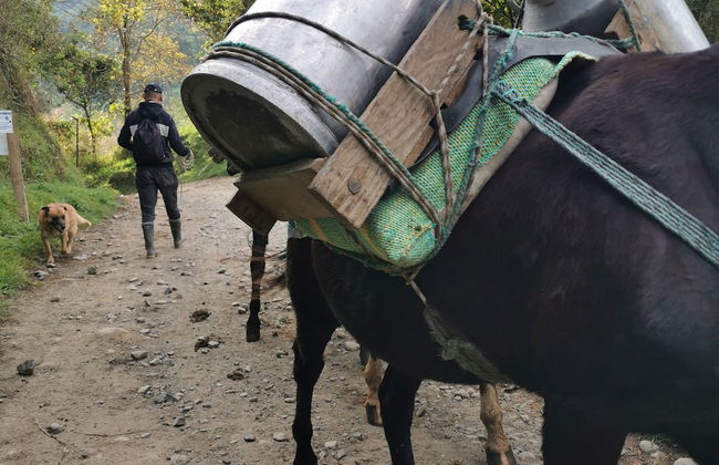 Casa Tien - Photo 71