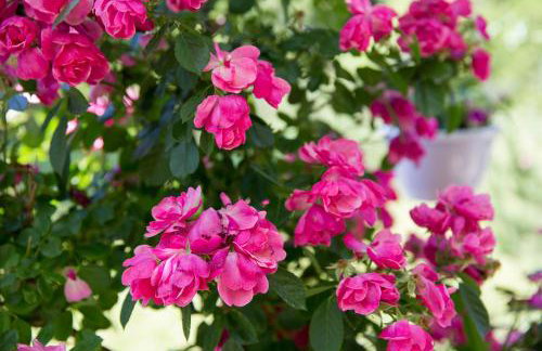 Apartment Green Oase - Foto 81