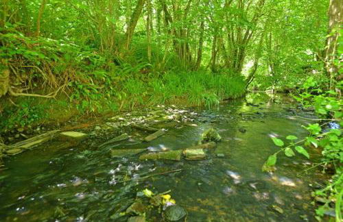 Osbornes Holiday House near Exeter with swimming pool - Foto 24