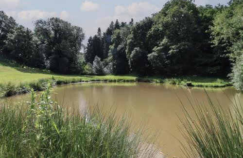 The Cabin - Private Car Park with CCTV - Fast WiFi - Peaceful Retreat with Views for Business or Couples - Foto 32