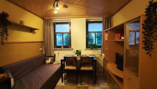 ansimali 2 - Apartment mit Wohn- und Schlafraum, integrierter Küchenzeile, separater Dusche und WC - ideal für Alleinreisende und Monteure am Spiegelwald - Foto 2