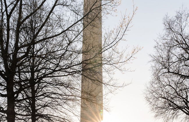 Kasa Alexandria Washington - Foto 45