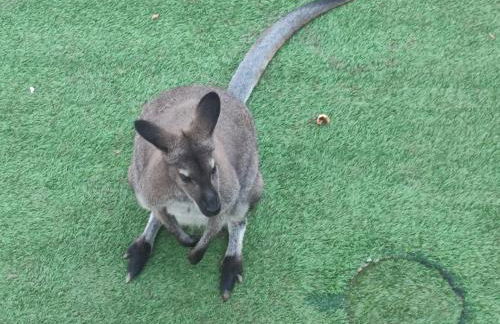 PARQUE DEL MEDITERRANEO - Photo 47