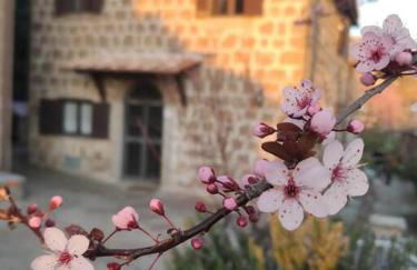 Casa vacanza Terrazza sul lago - Foto 23