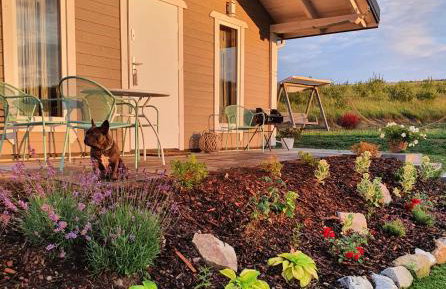 Domek Polna Cisza Bieszczady - Foto 13